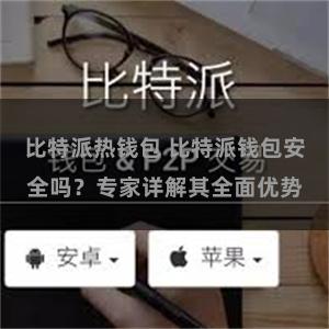 比特派热钱包 比特派钱包安全吗？专家详解其全面优势