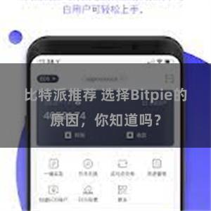 比特派推荐 选择Bitpie的原因，你知道吗？