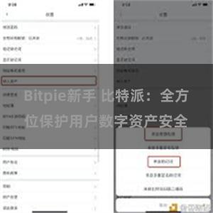 Bitpie新手 比特派：全方位保护用户数字资产安全