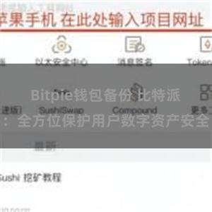 Bitpie钱包备份 比特派：全方位保护用户数字资产安全