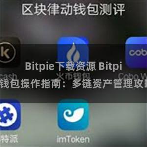 Bitpie下载资源 Bitpie钱包操作指南：多链资产管理攻略