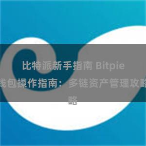 比特派新手指南 Bitpie钱包操作指南：多链资产管理攻略