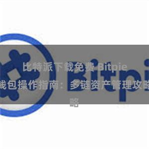 比特派下载免费 Bitpie钱包操作指南：多链资产管理攻略