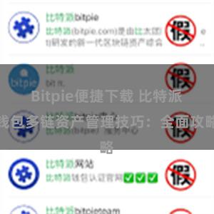 Bitpie便捷下载 比特派钱包多链资产管理技巧：全面攻略