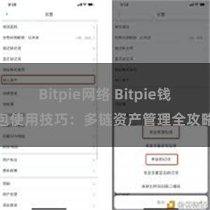 Bitpie网络 Bitpie钱包使用技巧：多链资产管理全攻略