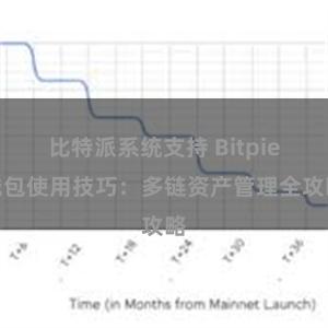 比特派系统支持 Bitpie钱包使用技巧：多链资产管理全攻略