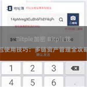 Bitpie加密 Bitpie钱包使用技巧：多链资产管理全攻略