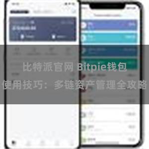 比特派官网 Bitpie钱包使用技巧：多链资产管理全攻略