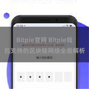 Bitpie官网 Bitpie钱包支持的区块链网络全面解析