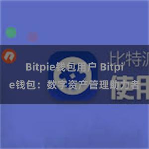 Bitpie钱包用户 Bitpie钱包：数字资产管理助力者