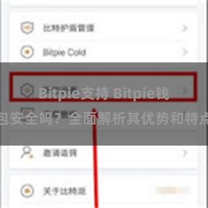 Bitpie支持 Bitpie钱包安全吗？全面解析其优势和特点