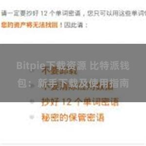 Bitpie下载资源 比特派钱包：新手下载及使用指南