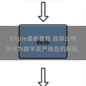 Bitpie最新教程 选择比特派作为数字资产钱包的原因。