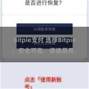 Bitpie支付 选择Bitpie：安全可靠，便捷易用。