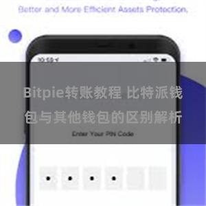 Bitpie转账教程 比特派钱包与其他钱包的区别解析