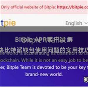 Bitpie APP客户端 解决比特派钱包使用问题的实用技巧