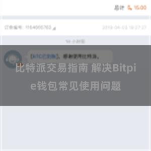 比特派交易指南 解决Bitpie钱包常见使用问题