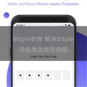 Bitpie转账 解决Bitpie钱包常见使用问题