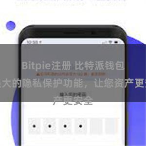 Bitpie注册 比特派钱包：强大的隐私保护功能，让您资产更安全