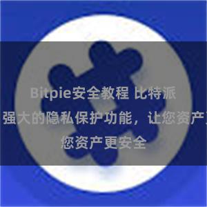 Bitpie安全教程 比特派钱包：强大的隐私保护功能，让您资产更安全