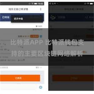 比特派APP 比特派钱包支持的主要区块链网络解析