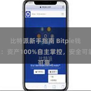 比特派新手指南 Bitpie钱包：资产100%自主掌控，安全可靠。