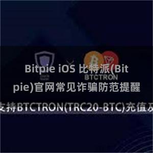 Bitpie iOS 比特派(Bitpie)官网常见诈骗防范提醒