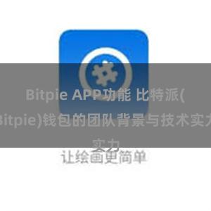 Bitpie APP功能 比特派(Bitpie)钱包的团队背景与技术实力