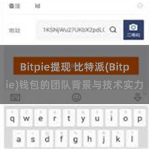 Bitpie提现 比特派(Bitpie)钱包的团队背景与技术实力