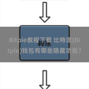 Bitpie教程下载 比特派(Bitpie)钱包有哪些隐藏功能？