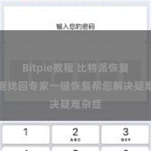 Bitpie教程 比特派恢复：数据找回专家一键恢复帮您解决疑难杂症