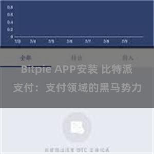 Bitpie APP安装 比特派支付：支付领域的黑马势力