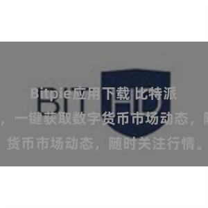 Bitpie应用下载 比特派APP下载教程，一键获取数字货币市场动态，随时关注行情。