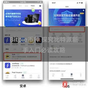 Bitpie币种 探究比特派新手入门必读攻略