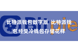 比特派钱包数字版  比特派钱包经受冷钱包存储花样